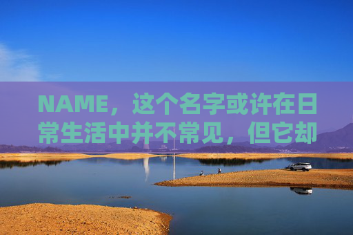 NAME，这个名字或许在日常生活中并不常见，但它却在某些领域里扮演着重要的角色。今天，让我们一起来探索这个名字背后的故事和意义